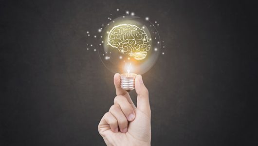 Case Study - SugarApple Communications